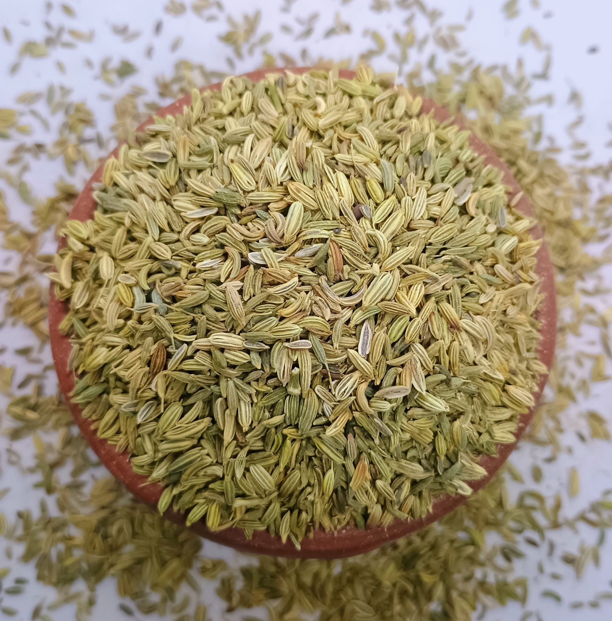 2025/09/1000208552-scaled.jpg 1000208552.jpg